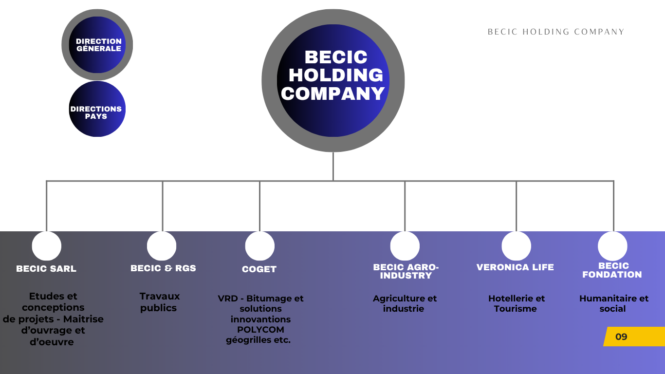 BECIC Holding Company - Organization